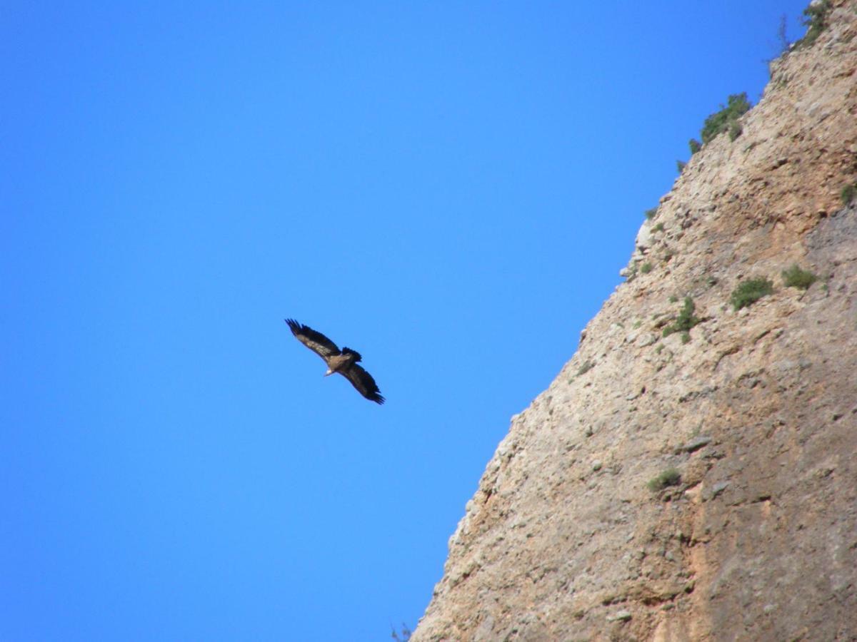 Natura Jordan Murillo de Gállego Dış mekan fotoğraf