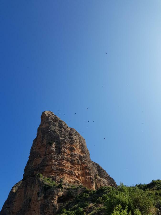 Natura Jordan Murillo de Gállego Dış mekan fotoğraf
